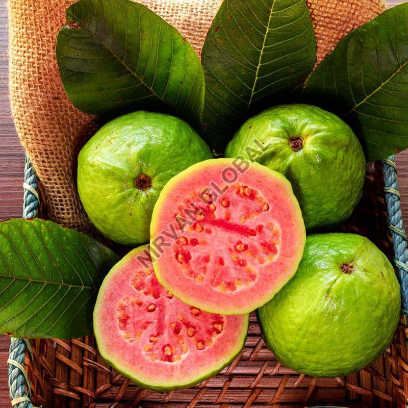 Fresh Guava