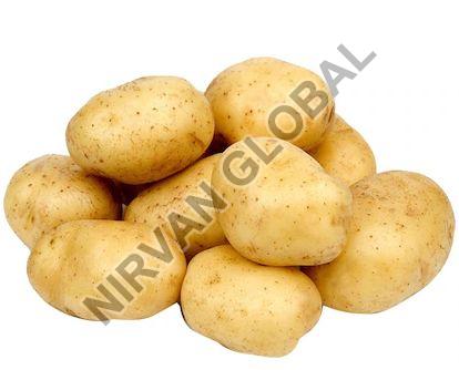 Fresh Potato