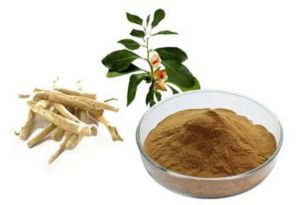 Ashwagandha Powder