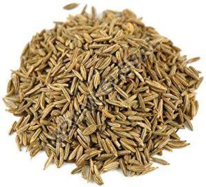 Cumin Seeds