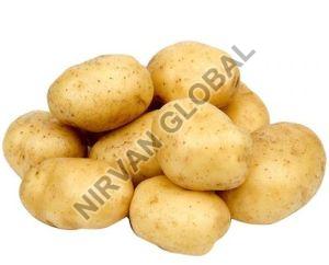 Fresh Potato