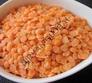 Red Lentils