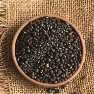 Whole Urad Dal